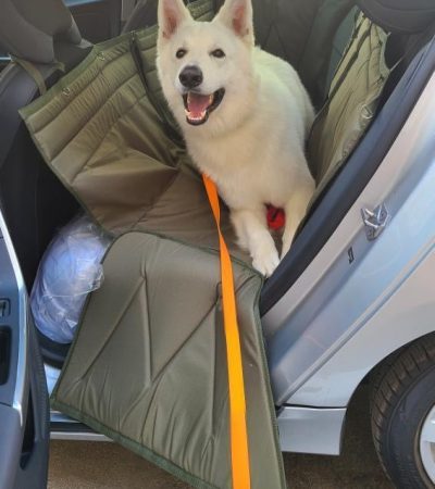 Автогамак для транспортування тварин в авто від WOOFRIDE