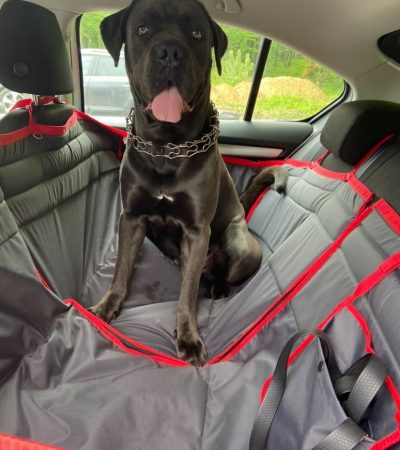 Автогамак для транспортування тварин в авто від WOOFRIDE