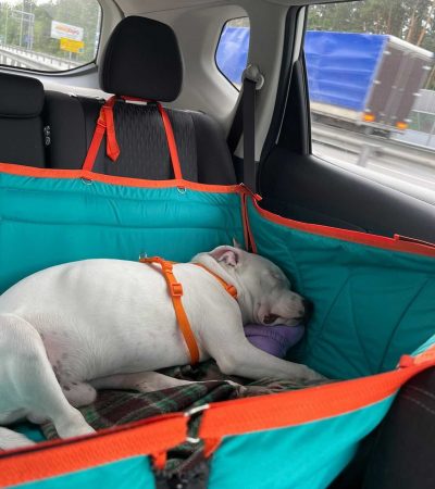 Автогамак для транспортування тварин в авто від WOOFRIDE