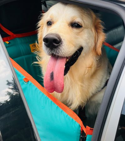 Автогамак для транспортування тварин в авто