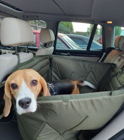 Автогамак для транспортування тварин в авто від WOOFRIDE