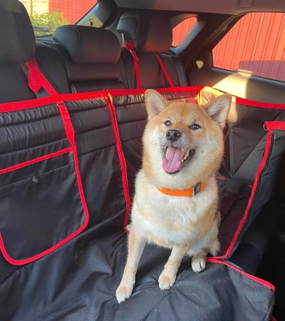 Автогамак для транспортування тварин в авто від WOOFRIDE